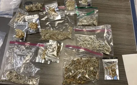 Louisa woman, ‘pop-up’ market drug dealer, faces up to 160-year sentence after record-breaking seizure