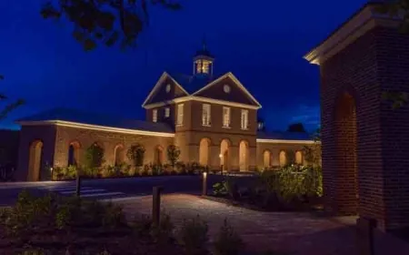 Artful Winter Evenings