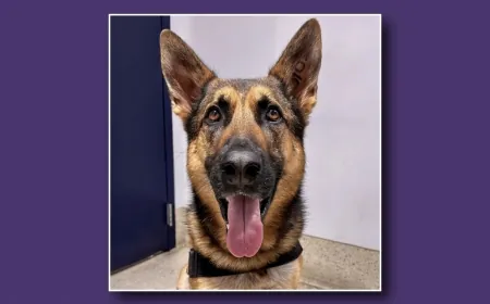 One of Richmond International Airport’s own makes it onto 2025 TSA Canine Calendar