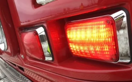 Two hospitalized, conditions unknown after tree falls on car in Petersburg, causes fire