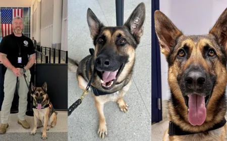 RIC explosive detection K-9 featured in TSA’s 2025 calendar