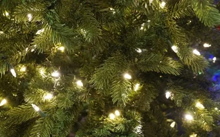 Celebrate the holidays at Hanover County’s Winter on the Green