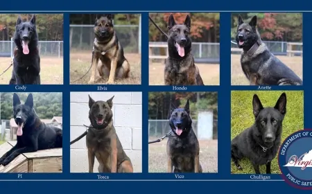 Eight VADOC K-9s given body armor in honor of K-9 stabbed to death protecting handler