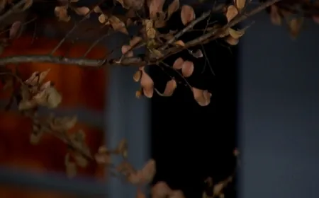 ‘Those are some real malicious actions’: Colonial Heights neighbors react to 74-year-old woman assaulted