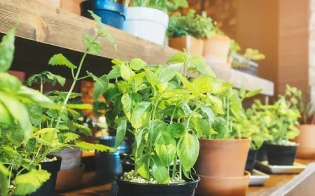 The Park RVA to host Tacky Sweater Plant Swap and Holiday Market