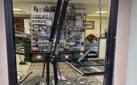 Henrico gun and pawn shop manager hopes for justice after car drives through store, several items stolen