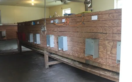 Three men arrested, charged in connection to Greene County puppy mill