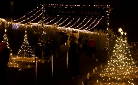 PHOTOS: The Miracle of Christmas at Metro Richmond Zoo