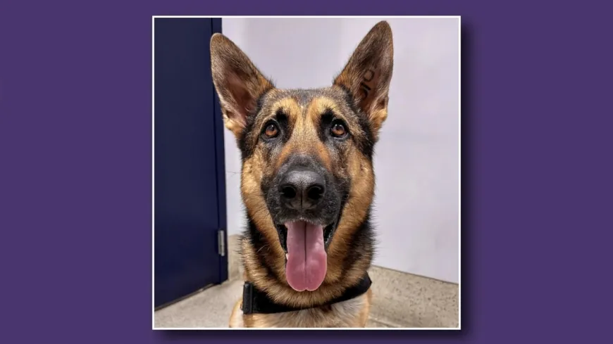 One of Richmond International Airport’s own makes it onto 2025 TSA Canine Calendar