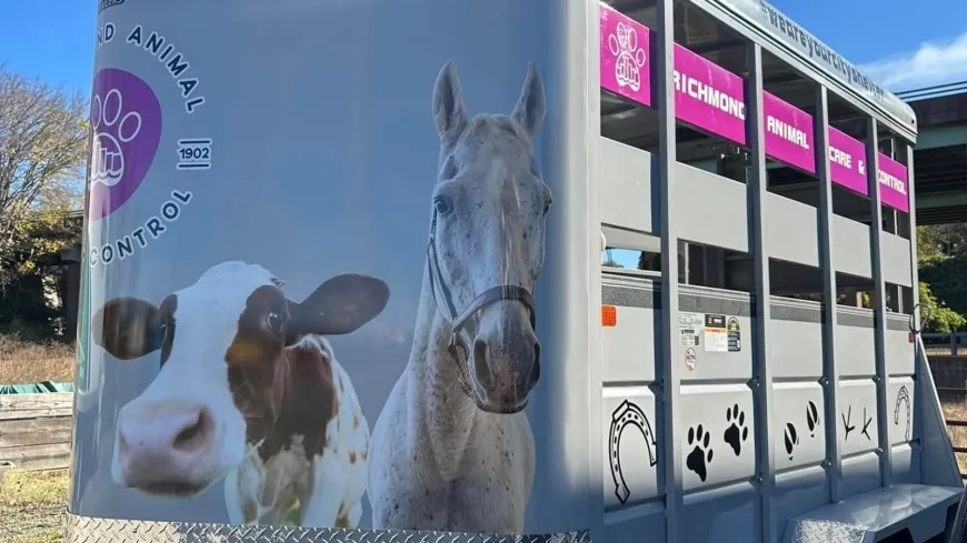 RACC celebrates new horse trailer, will make large animal rescues easier