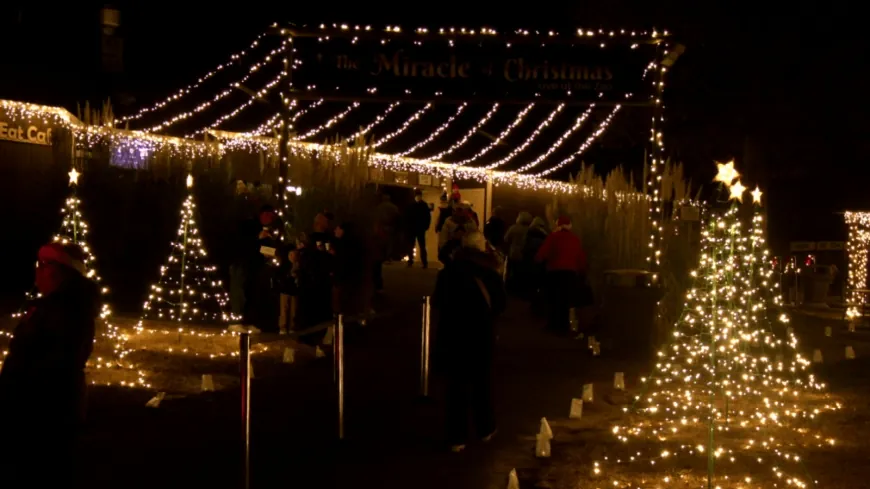 PHOTOS: The Miracle of Christmas at Metro Richmond Zoo