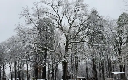 LIST: Which government offices in Central Virginia are closed on Tuesday?