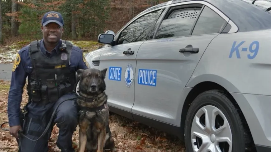 Retired VSP K-9 dies unexpectedly at home with former handler