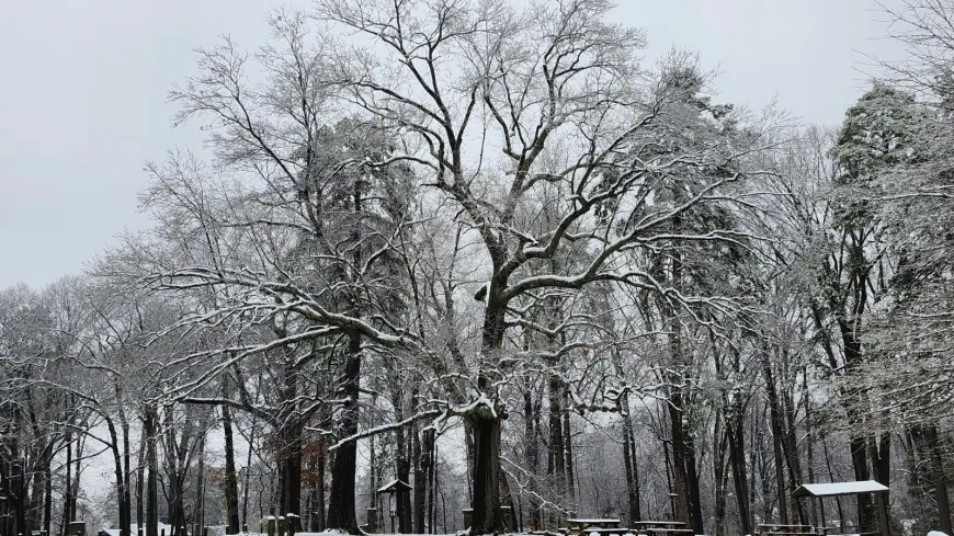 LIST: Which government offices in Central Virginia are closed on Tuesday?