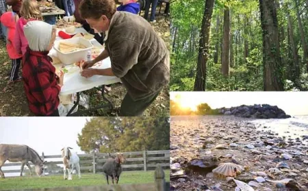 Chippokes State Park Events – February