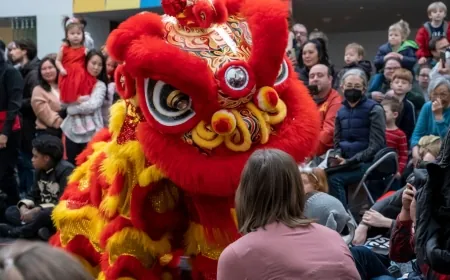 20th anniversary of ChinaFest returns to VMFA for Chinese Lunar New Year