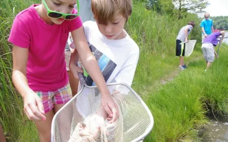 Summer Camps at York River State Park