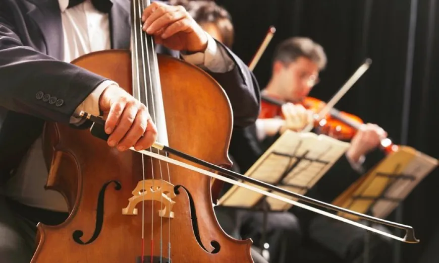 Alexandria Symphony Orchestra to Perform This Weekend