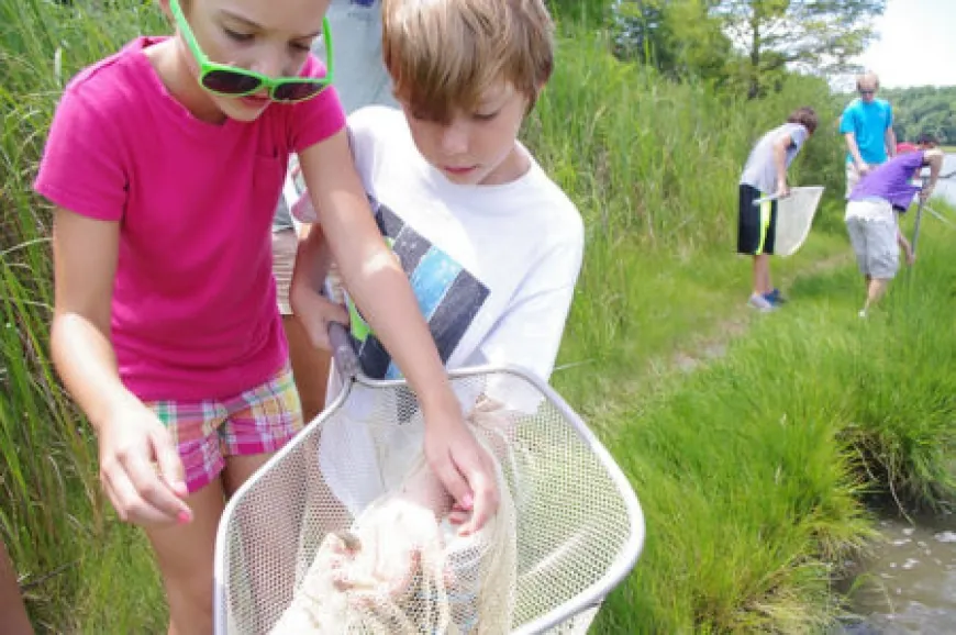 Summer Camps at York River State Park