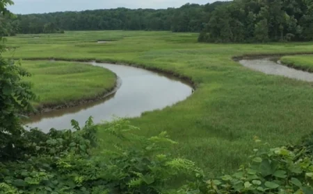 York River State Park – March Events!