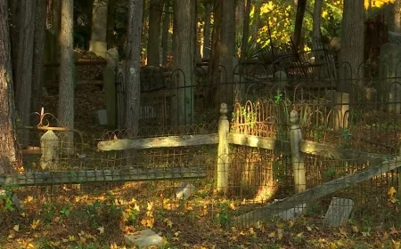 Friends of East End Cemetery commission firm to assist in restoration process