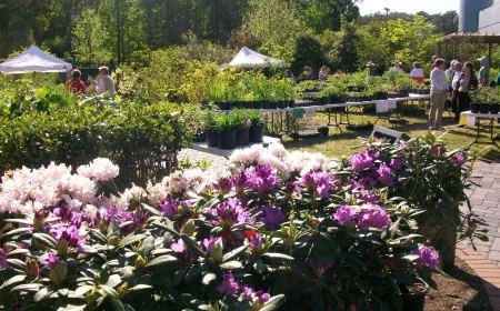 Annual Native Spring Plant Sale at Virginia Living Museum in May