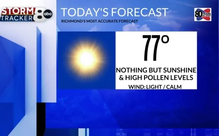 StormTracker 8: Nothing but sunshine & high pollen levels today