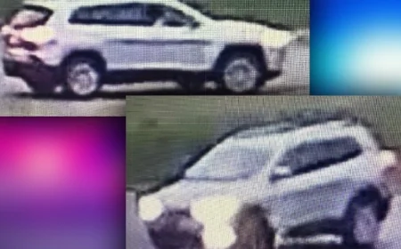 Prince George County Police looking for suspect vehicle in shed theft
