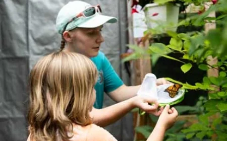 Butterfly Haven at the Virginia Living Museum Opens June 14!