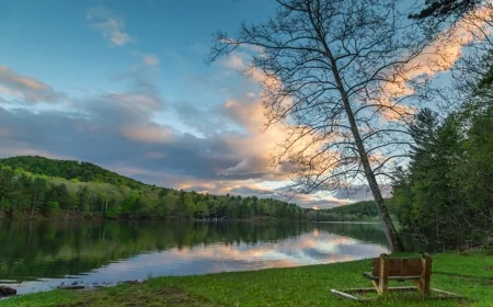 Discover the History of Douthat State Park