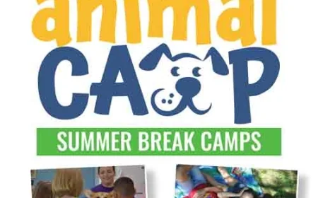 Heritage Humane Society Animal Camp