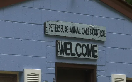 Petersburg non-profit says city needs to ‘move along’ on new animal shelter