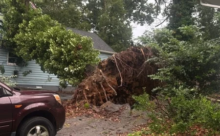 Severe storms cause extensive damage across Central Virginia