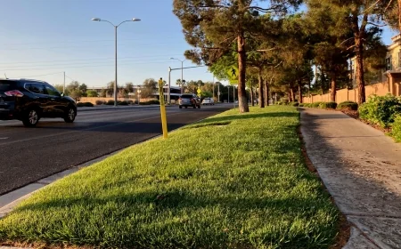 Keep Henrico Beautiful honors environmentally friendly properties