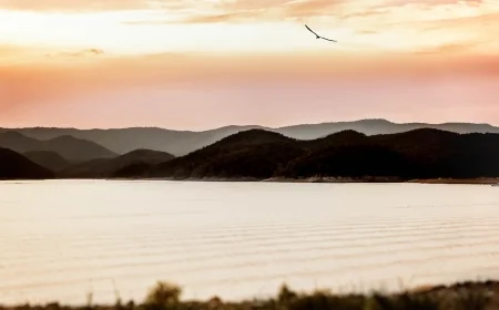 Instagram-Worthy Views in the Alleghany Highlands