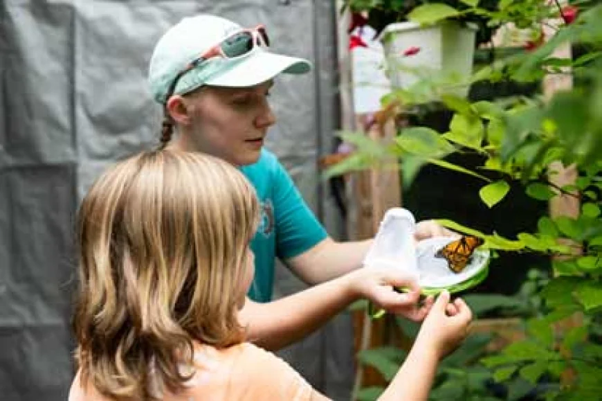 Butterfly Haven at the Virginia Living Museum Opens June 14!
