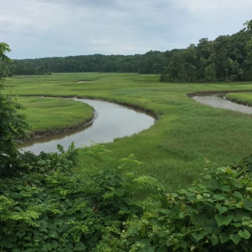 York River State Park – June Events!