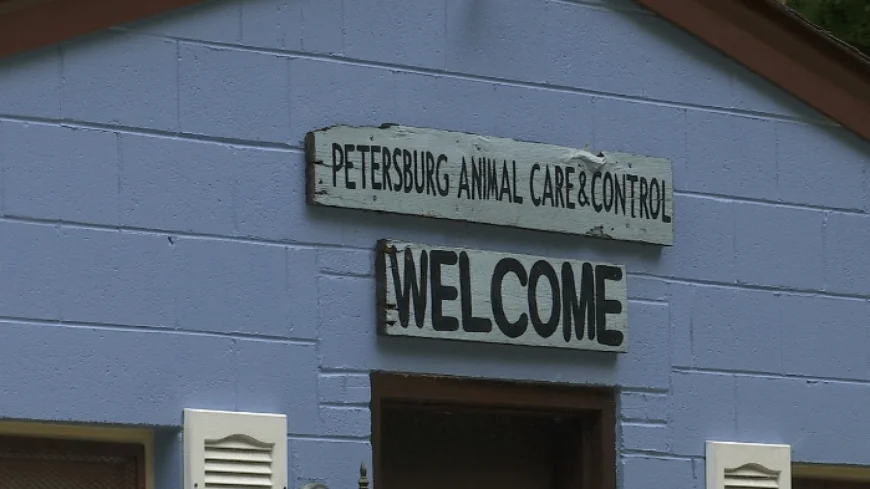 Petersburg non-profit says city needs to ‘move along’ on new animal shelter