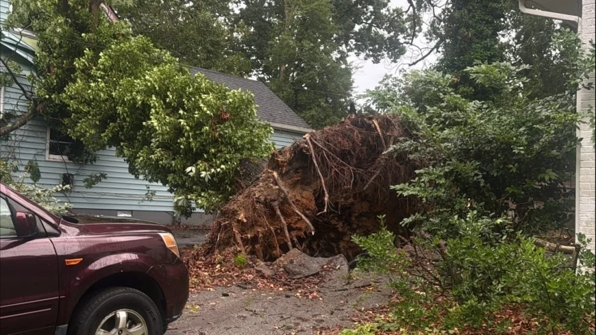 Severe storms cause extensive damage across Central Virginia