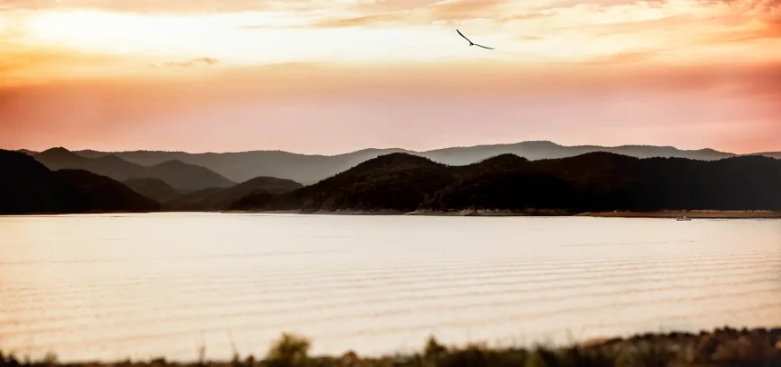 Instagram-Worthy Views in the Alleghany Highlands