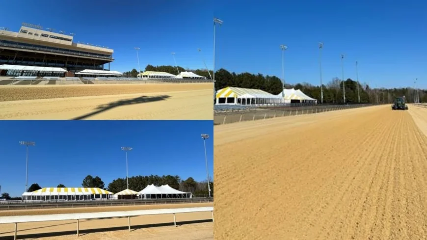 Camels, ostriches and zebras to race at Colonial Downs in July