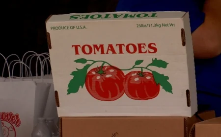 Organizers discuss the return of the Hanover Tomato Festival