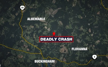 Driver dead after crashing into tree in Albemarle