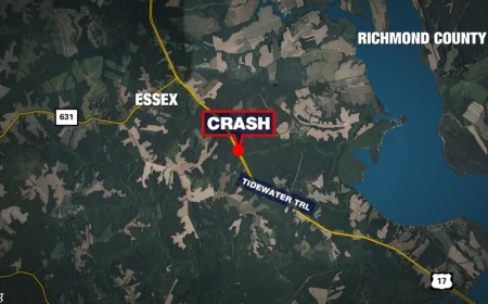 Driver seriously hurt after crashing into tree in Essex