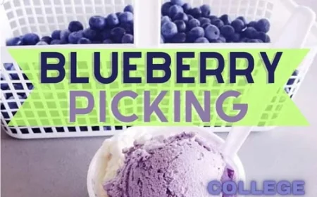 College Run Farms has Blueberry Picking