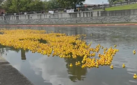 Annual RVA Duck Race set to announce first-ever mascot