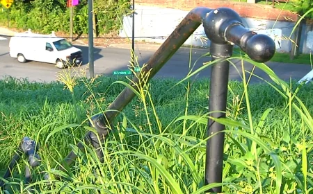 Neighbors voice concerns over tall grass at Richmond’s Libbie Hill Park