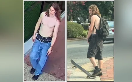 Person of interest wanted after vandalism, rock thrown at Padel Plant