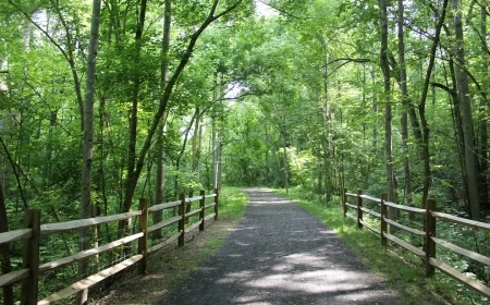 Accessible Alleghany Adventures