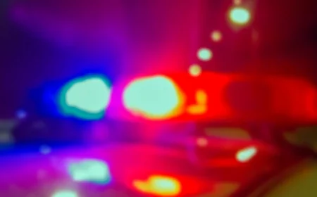 Thieves taking ‘anything in sight’ from cars in Colonial Heights neighborhood: police